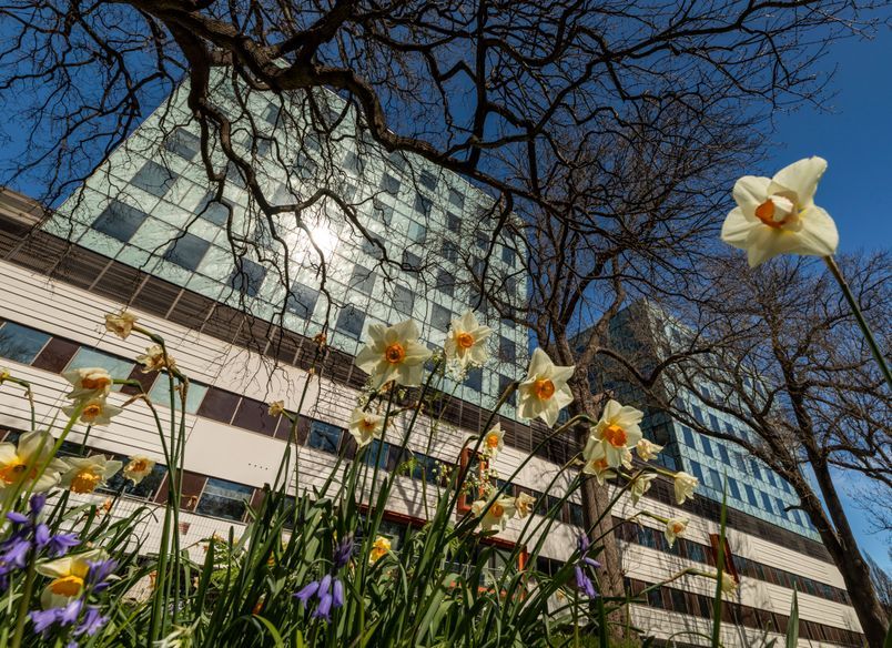 Christchurch Hospital Waipapa