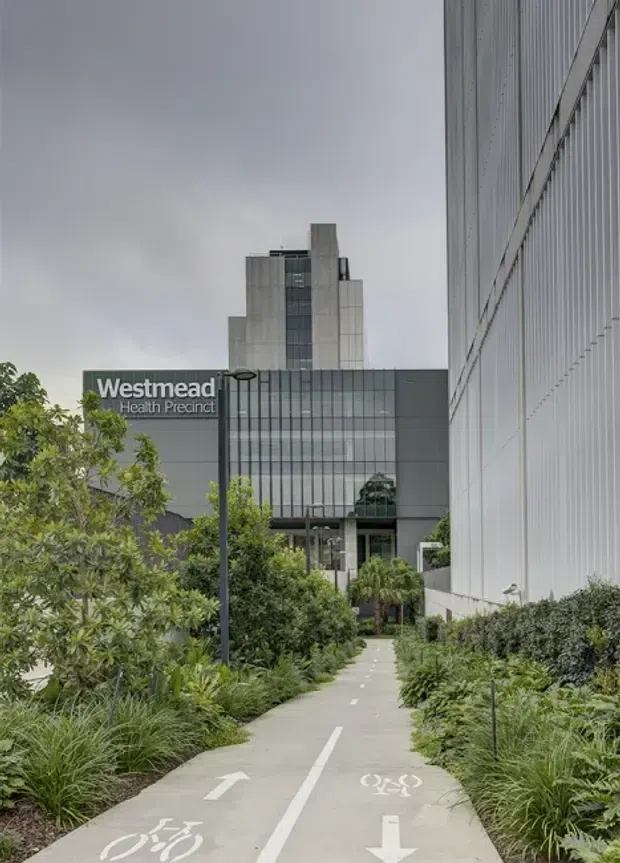 A landscaped pedestrian and cycle path leads toward the modern Westmead Health Precinct, with visible healthcare buildings featuring dark glazed curtain walls, concrete tower elements, and a large ribbed light-coloured facade on the right. The path has directional arrows and bicycle symbols, bordered by dense ornamental planting and contemporary lighting under an overcast sky.