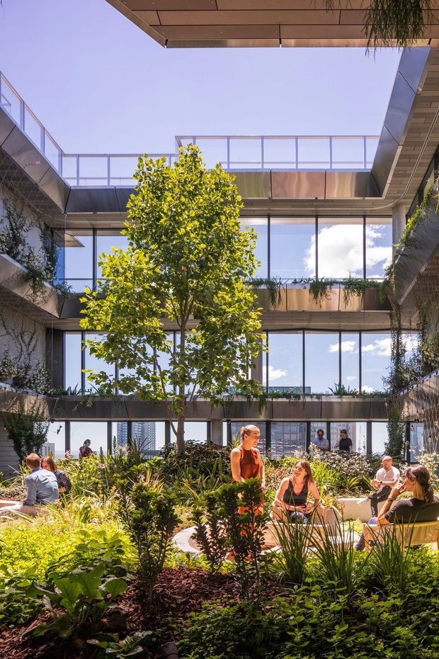 A bright, multi-storey contemporary atrium courtyard surrounded by glazed balconies and walkways. The open-air space contains a mature central tree, dense layered planting, built-in seating, and people gathered in a communal outdoor area. Transparent balustrades, dark metal framing, and warm-toned soffit panels define the architecture, with city buildings visible beyond the glazing.
