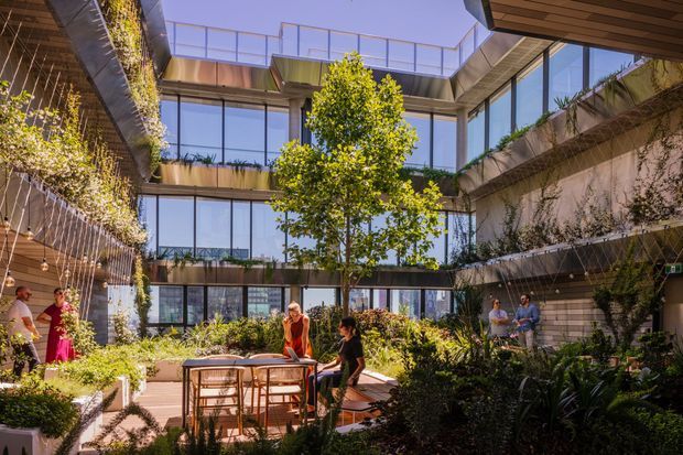 A bright landscaped internal courtyard within a contemporary multi-storey building. The open-air space features extensive planting, mature trees, built-in garden beds, timber decking, outdoor dining furniture, and people gathered around tables. Glazed balconies and upper-level walkways surround the courtyard, with planted terraces, exposed concrete structure, and a glass balustrade visible above.