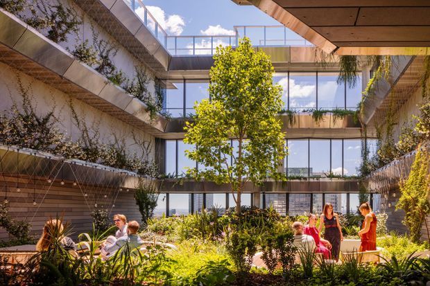 A sunlit multi-storey interior courtyard or atrium with extensive planted garden beds, mature trees, cascading greenery, timber-lined balconies, and large glazed openings. People occupy the landscaped communal space, while open-air bridges and upper-level walkways frame views toward the sky and surrounding urban buildings.
