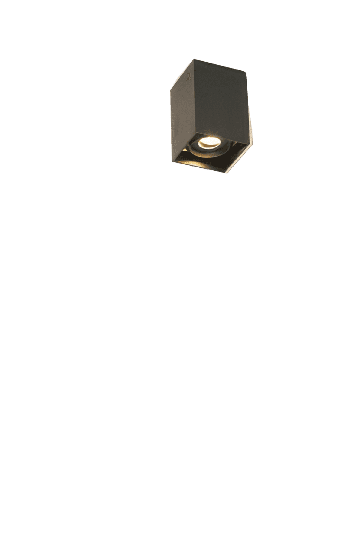 1791171183243-bf00e8d44ab7d20aa1be25291610579f.png