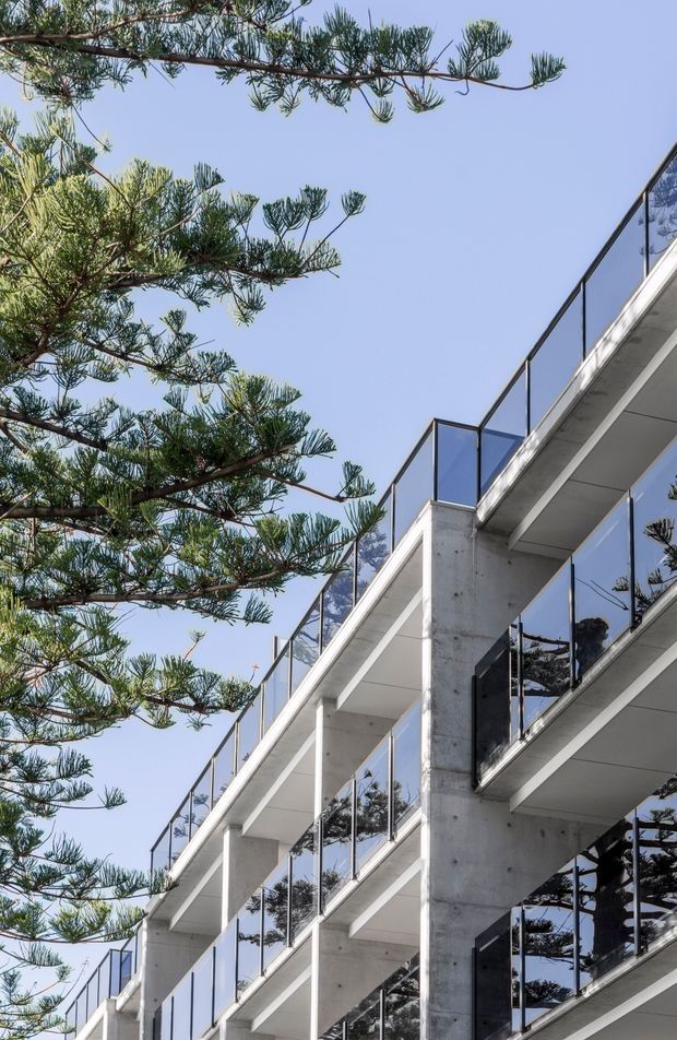 Upward-looking architectural exterior photograph of a modern multi-level building with exposed concrete slab balconies, strong vertical concrete columns, and transparent glass balustrades. Tall coastal-looking evergreen trees frame the building, with clear blue sky and tree reflections visible in the glazing.