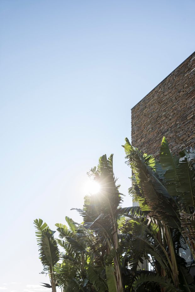 Upward-looking exterior view of a tall textured natural-stone masonry wall beside lush tropical banana and palm-like planting, strongly backlit by bright sunlight against a clear blue sky. The image emphasises the building facade and tropical landscape, with no visible interior space.