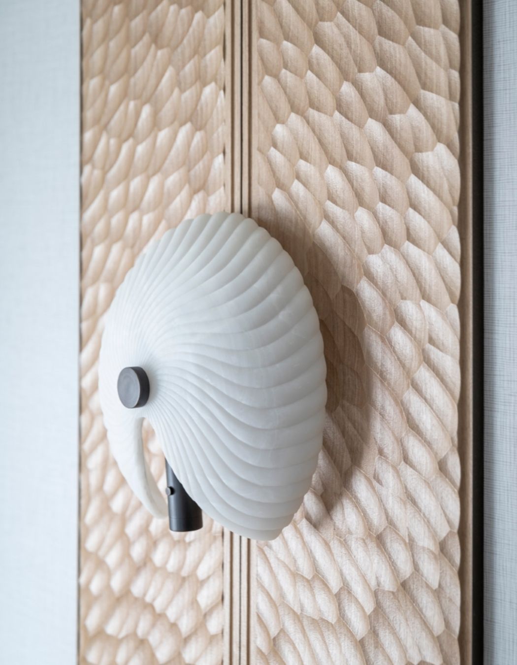 Working closely with Ngāti Whātua Ōrākei, Space Studio developed a story around the “paper nautilus” – an octopus that makes a parchment-like shell to carry incubating eggs into shore.