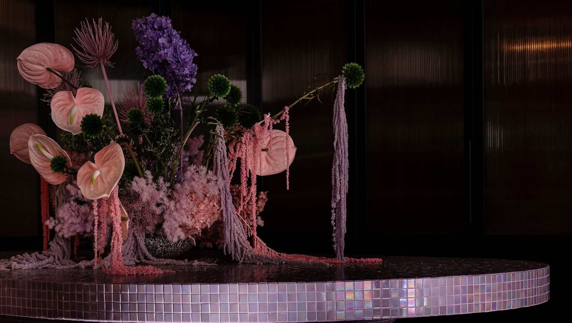 Naumi Wellington banner