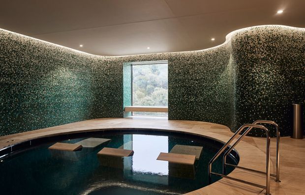An indoor spa pool or plunge pool set within a curved, organically shaped room. The walls are covered in small dark green and neutral mosaic tiles, with a smooth warm-toned ceiling, recessed downlights, timber-look decking around the pool, and a stainless-steel handrail and ladder. A central window provides a view toward greenery outside, while submerged timber platforms or seats extend into the still dark water.