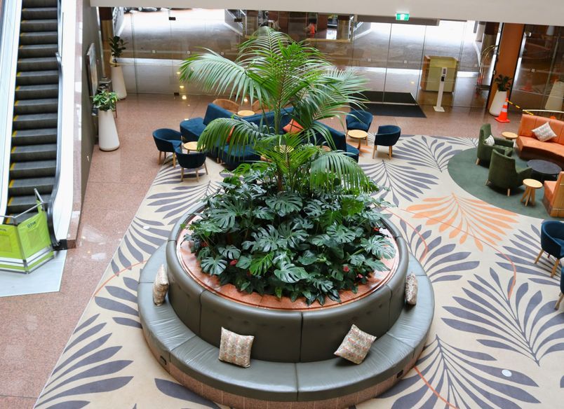 Grand Millenium - Long term hire project