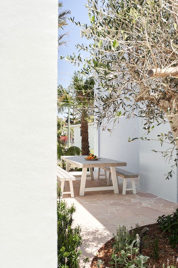 A bright Mediterranean-style outdoor dining courtyard with white rendered walls, a pale timber picnic-style table and benches, and irregular natural stone paving. Olive and palm trees, drought-tolerant planting, and strong sunlight create a relaxed garden setting.