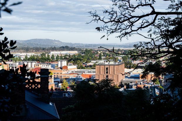 Elevated view across a dense urban area, framed by dark tree branches in the foreground. Low-rise commercial and residential buildings fill the middle ground, with a prominent brick industrial-looking building near the centre and hills visible in the distance beneath an overcast sky.