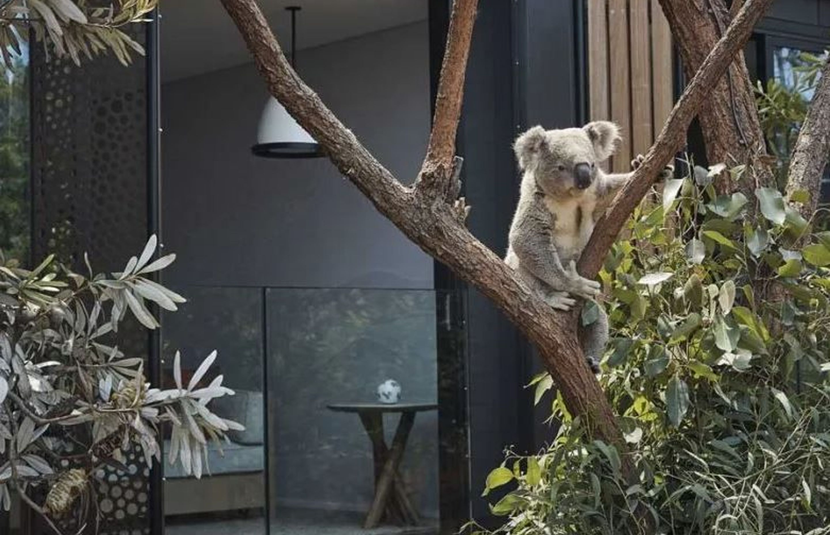 Wildlife Retreat at Taronga Zoo