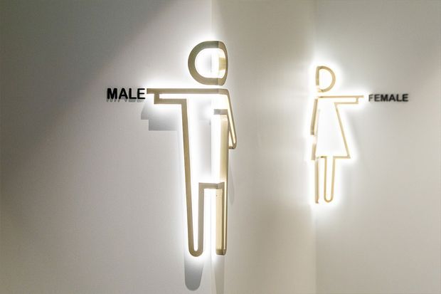Interior wall displaying illuminated male and female restroom pictograms with raised lettering, creating a clean, modern wayfinding installation.