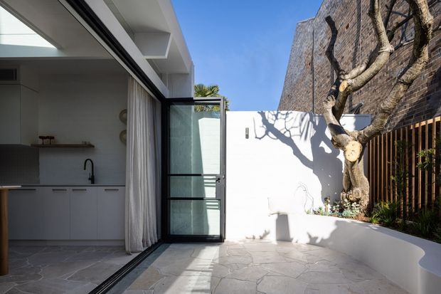 A compact contemporary courtyard viewed from an open-plan kitchen through a fully glazed sliding door. The courtyard has pale irregular stone paving, a white rendered curved planter wall, a mature sculptural tree, and a timber privacy fence against an exposed brick boundary wall. The kitchen is minimally fitted with pale cabinetry, a dark benchtop, stainless tapware, and full-height curtains. Strong sunlight creates crisp tree shadows across the white walls and paving.