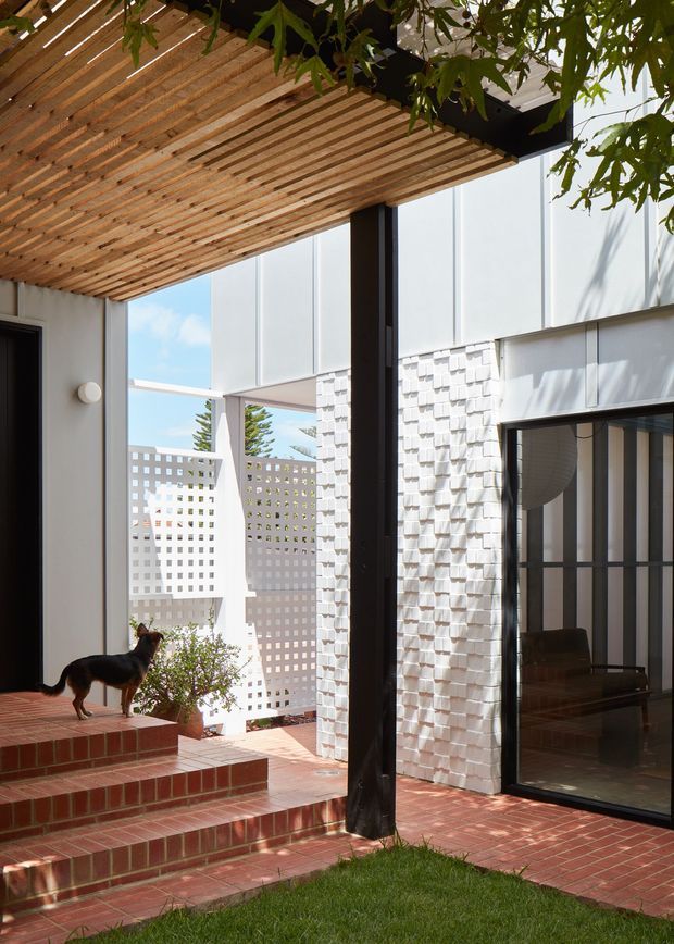 A bright architectural courtyard viewed from beneath a timber-lined covered outdoor area. Red brick steps and paving surround a small lawn, with a black structural post, large dark-framed glazing, white textured masonry walls, and perforated privacy screens. A dog and leafy planting are present, while the courtyard opens toward blue sky and trees beyond.