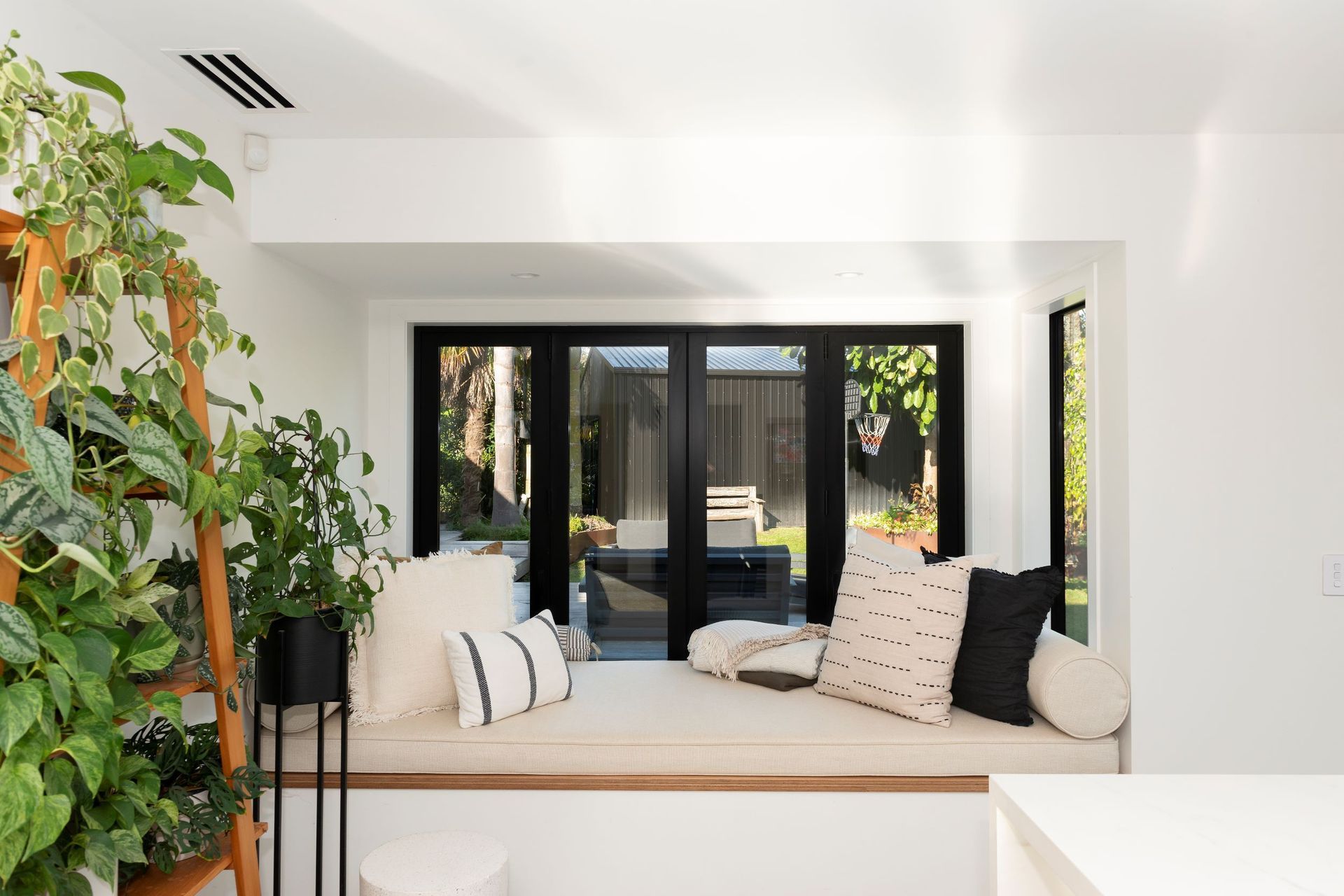 Tauranga Transformation