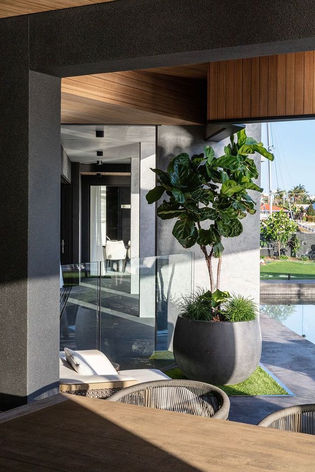 A refined indoor-outdoor living and dining area with dark textured walls, warm timber ceiling and cabinetry, polished dark flooring, and expansive glazing. A large sculptural planter with a leafy tree sits beside a glass balustrade overlooking a swimming pool and landscaped exterior. Woven lounge chairs and a timber dining table create a warm, contemporary resort-like atmosphere.