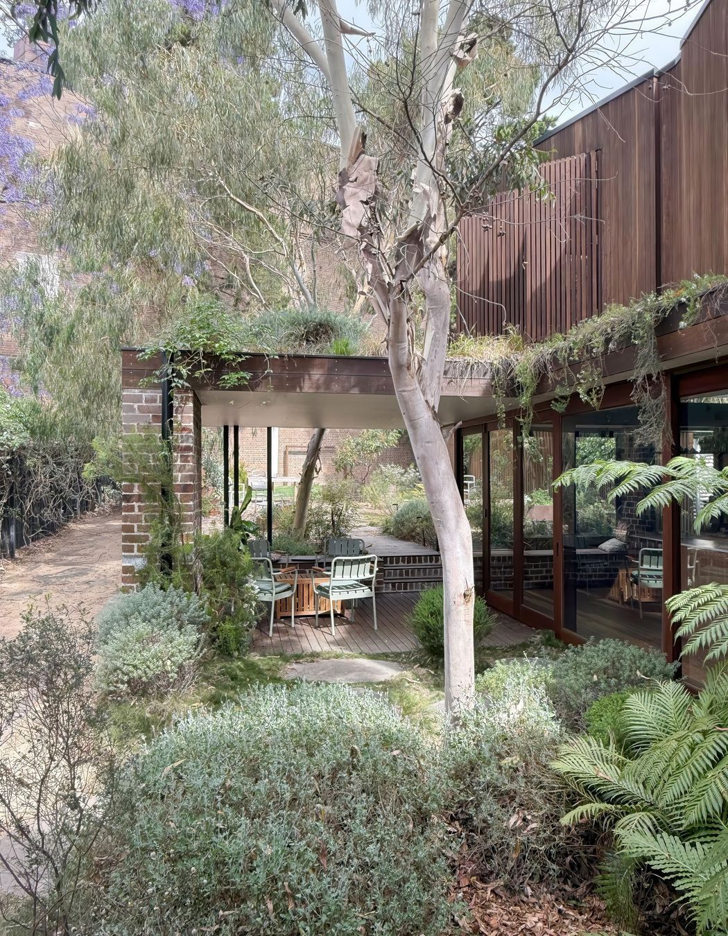 02-Matt-Day-Architect-Matt-Day-Tempe-House-Alteration-Addition-Timber-Courtyard-Garden-Covered-Outdoor-Dining-Area.jpeg