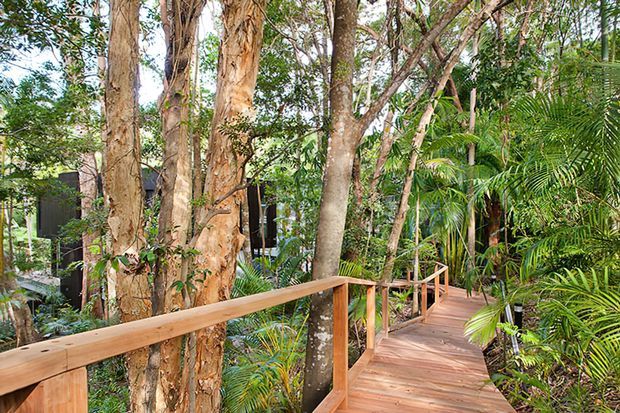 A raised timber boardwalk winds through dense tropical vegetation and mature trees, with simple timber handrails and glimpses of a dark-clad building partially visible among the foliage.