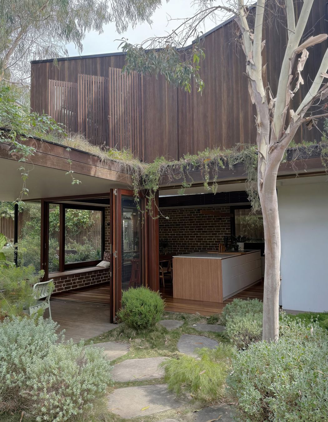 04-Matt-Day-Architect-Matt-Day-Tempe-House-Alteration-Addition-Timber-Cladding-Courtyard-Garden-Native-Landscaping.jpeg