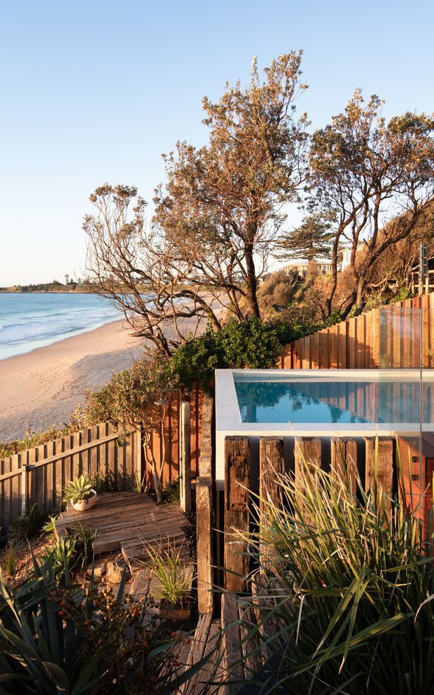 A sunlit coastal outdoor area overlooking a sandy beach and ocean, featuring a compact rectangular swimming pool, timber decking, vertical timber fencing, and native coastal planting among windswept trees.