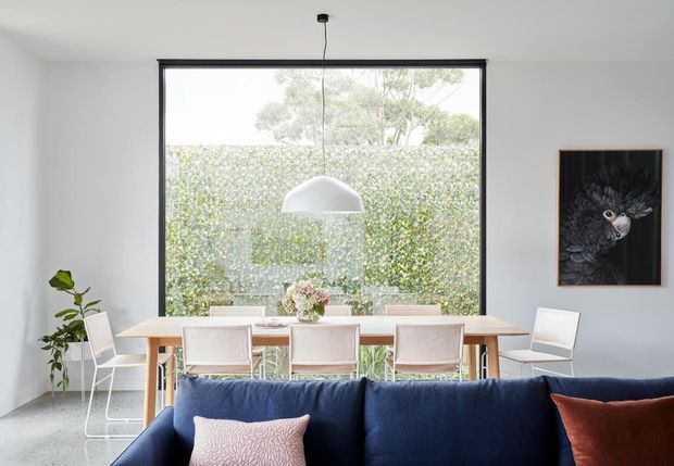 Bright, clean open-plan dining and living area with a long timber dining table, upholstered dining chairs, large black-framed window overlooking a leafy hedge, pendant light, and the back of a deep blue sofa in the foreground. White walls and restrained furnishings create a contemporary, airy interior.