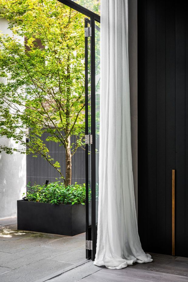 A refined contemporary entry or living space opening onto a planted courtyard. A tall black pivot or hinged door with a slim brass-gold handle is set against dark vertical wall panelling, while sheer white curtains frame the opening. The courtyard includes a large matte-black planter, leafy tree, and dark vertical screening, with pale large-format paving continuing from the interior to the exterior.