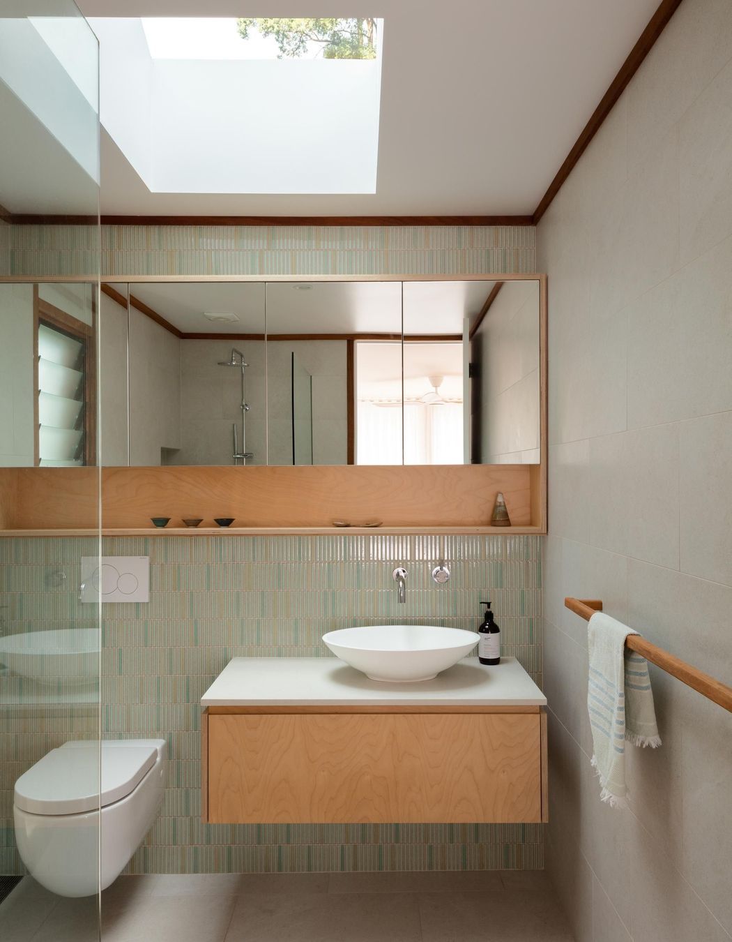 10-Matt-Day-Architect-Matt-Day-Bayview-House-Bathroom-Skylight.jpg