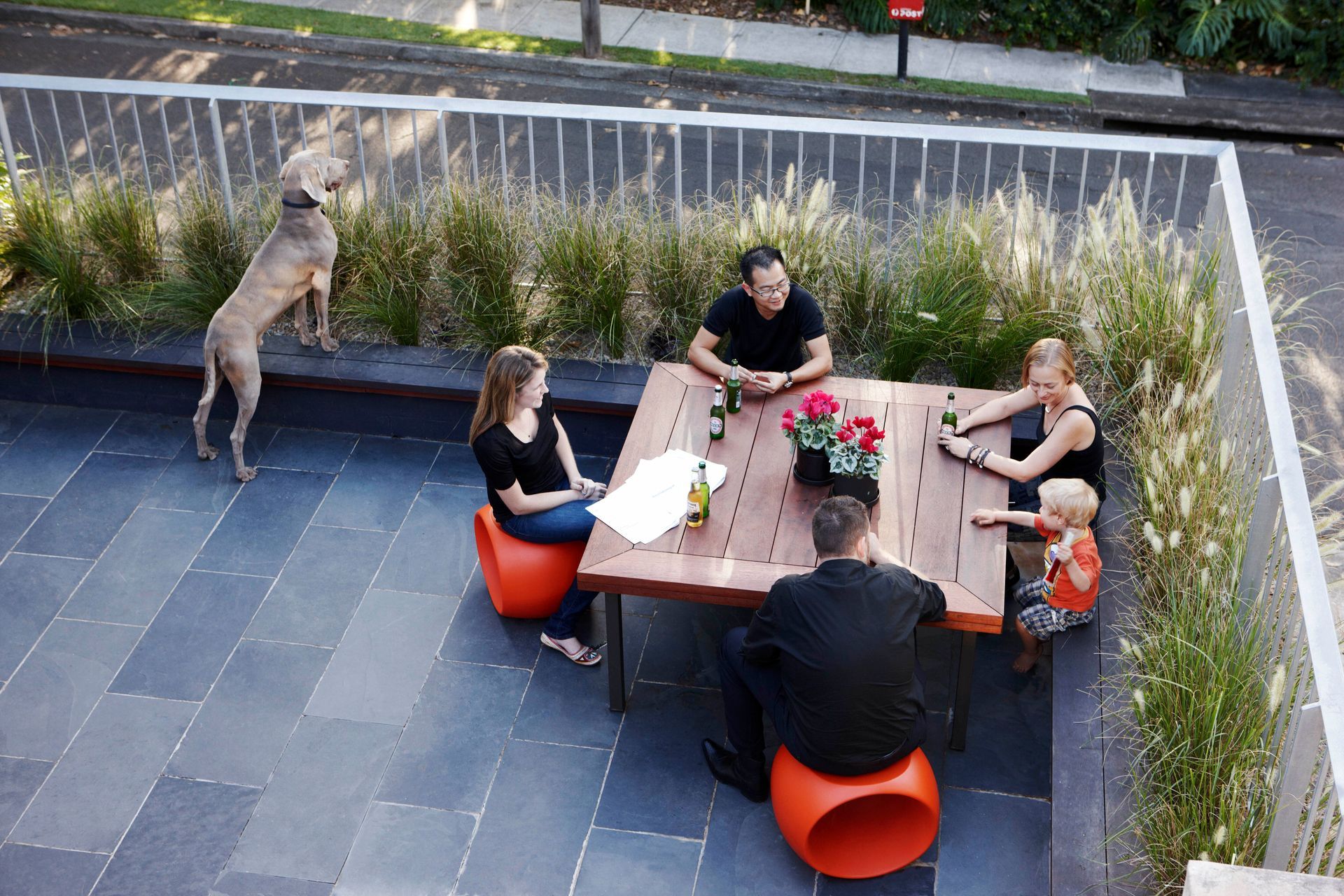 **9C Rebirth Bohemian Home