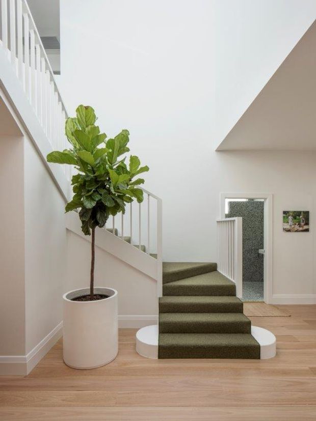 Bright minimalist residential stair hall with a central carpeted staircase, white balustrades, pale timber flooring, and white walls. A large potted fiddle-leaf fig adds greenery beside the stairs, while a small doorway and artwork are visible on the right. The stair rises toward an upper-level landing beneath a high, open ceiling.