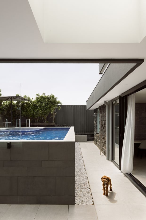 A contemporary residential courtyard viewed from beneath a covered outdoor opening. The scene is dominated by a raised rectangular swimming pool with dark tiled walls, a paved walkway edged with white gravel, and a single-storey home with dark-framed sliding glass doors, exposed stonework and broad roof overhangs. A small dog is present on the paving, with trees and an outdoor umbrella visible beyond the pool.