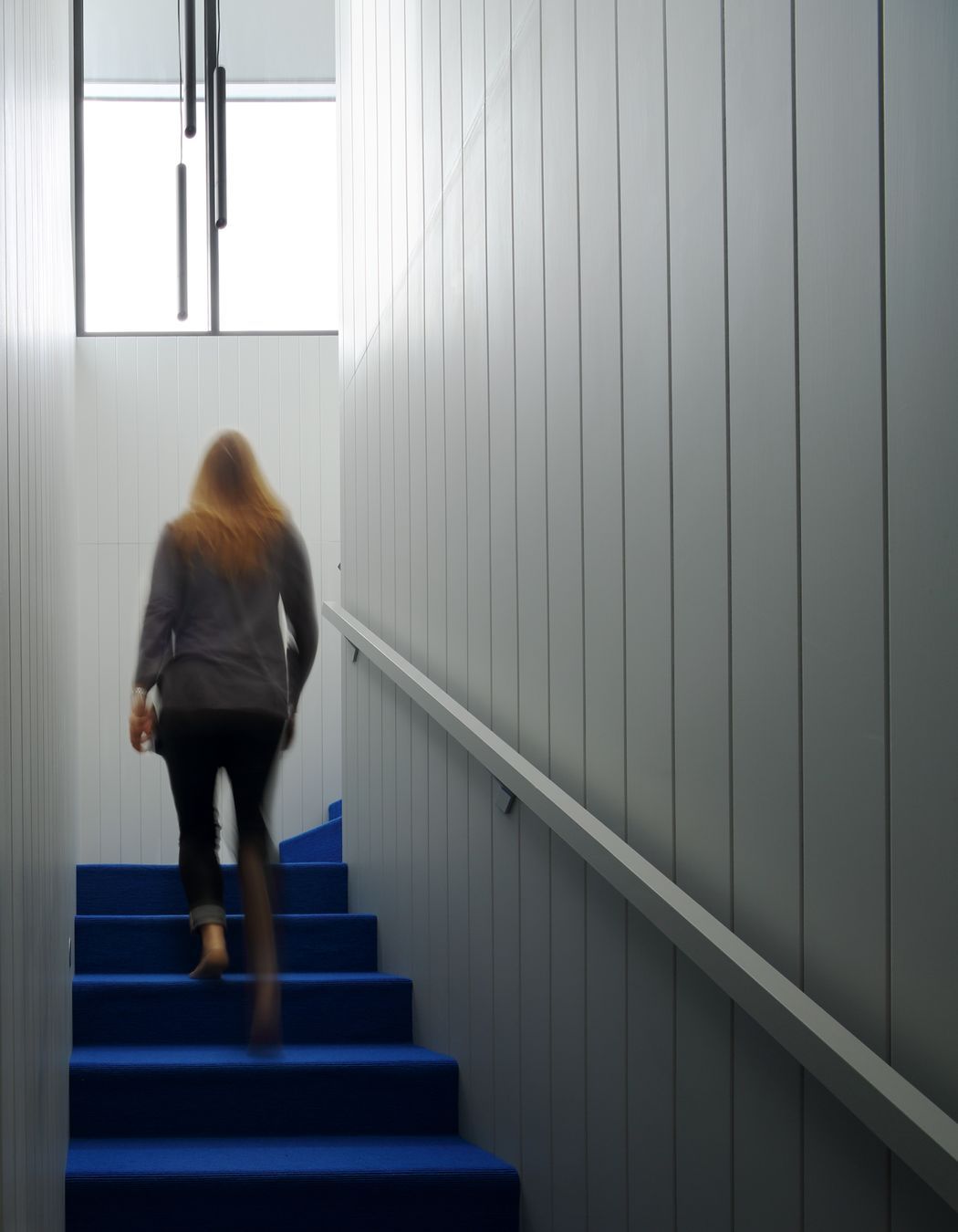 Donald St Renovation, Prahran