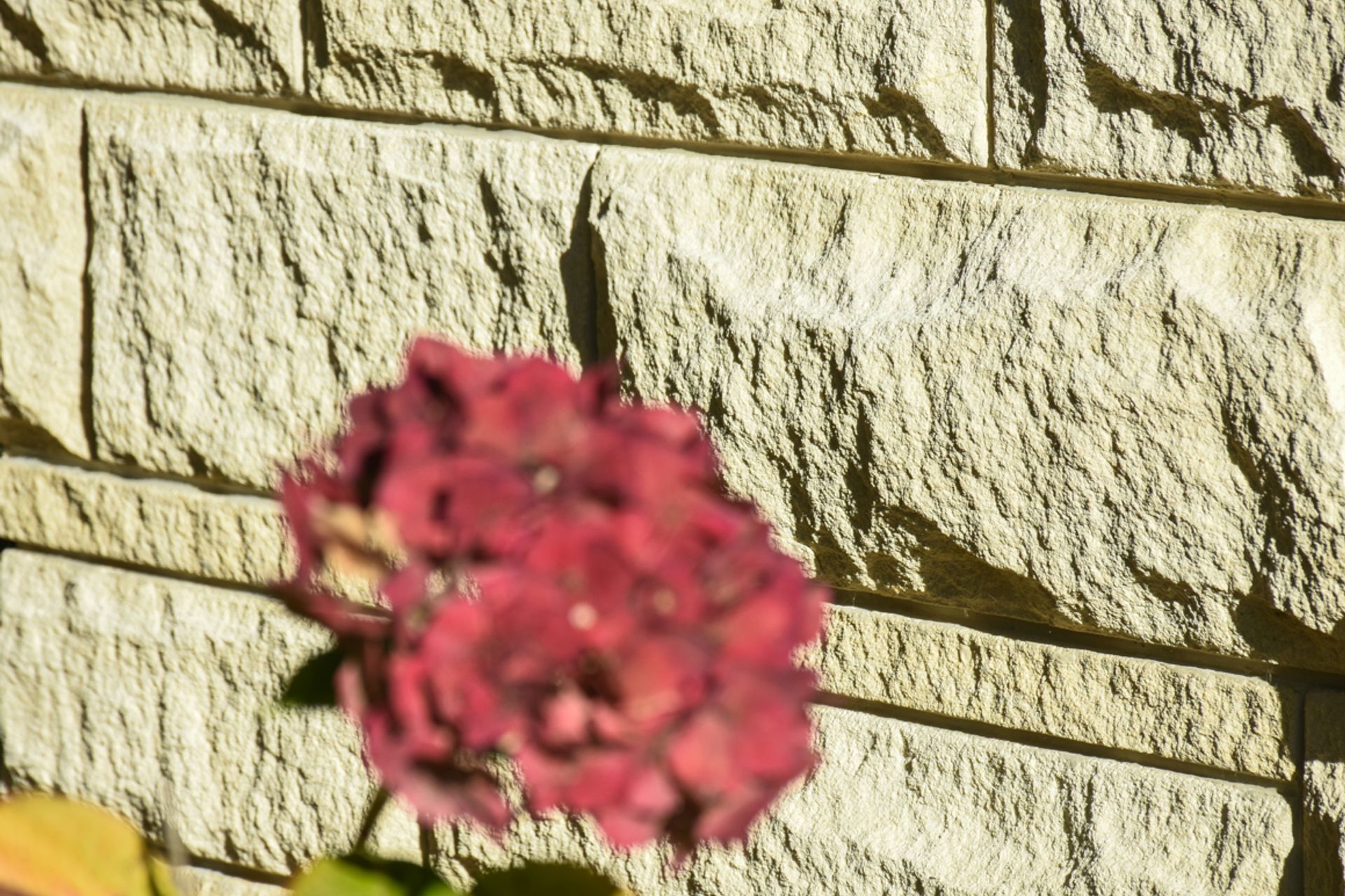 Close up of the cleaned/restored work revealing the natural beauty and durability of Oamaru stone