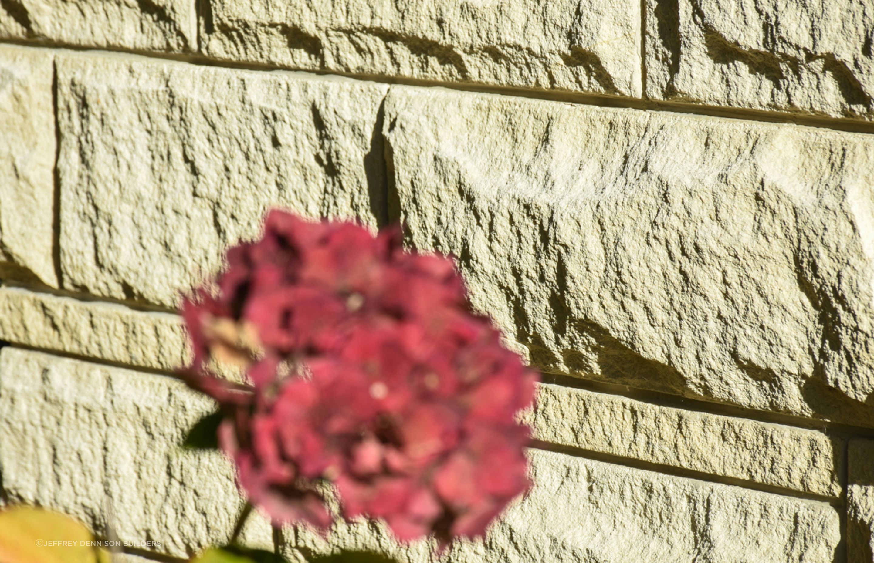 Close up of the cleaned/restored work revealing the natural beauty and durability of Oamaru stone
