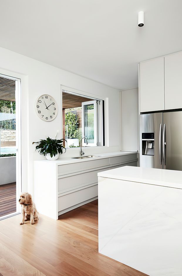 Bright, contemporary white kitchen with streamlined flat-panel cabinetry, a large white island, integrated sink beneath a window, stainless-steel refrigerator, and pale timber flooring. Glazed doors open to a timber deck and planted outdoor area. A small dog is visible near the doorway.