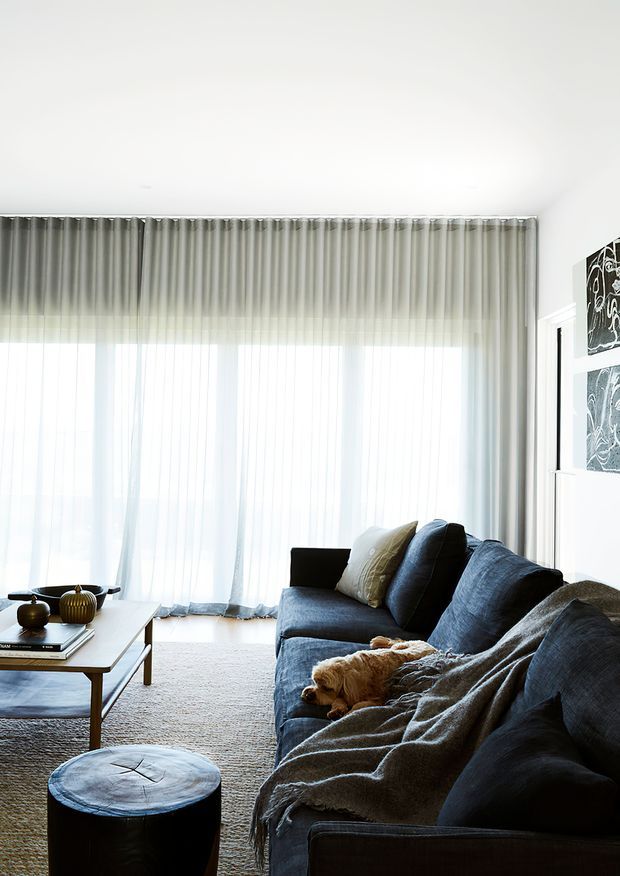 A bright, contemporary living room with a large wall of floor-to-ceiling sheer curtains, a deep blue sectional sofa, textured throw, light rug, timber coffee table, and dark round ottoman. Neutral artwork and a small dog add warmth to the relaxed, refined setting.