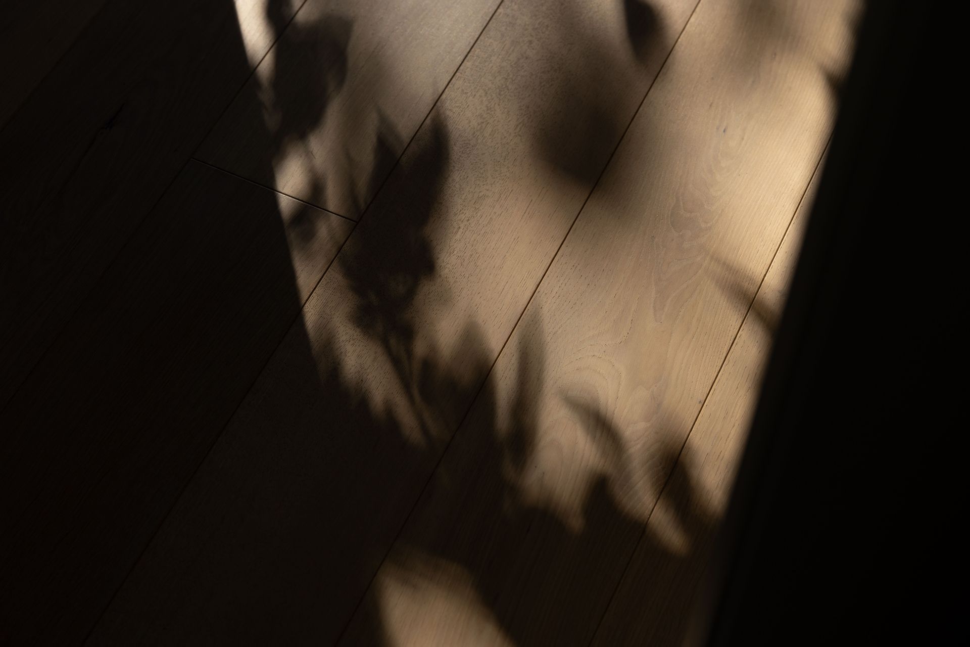 161A5945.jpg