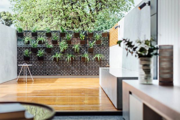 Bright contemporary outdoor courtyard or terrace viewed from beside a building, featuring a glossy timber deck, pale rendered walls, a patterned vertical garden wall with planted pockets, and minimalist outdoor furniture and planters. Mature trees are visible beyond the courtyard.