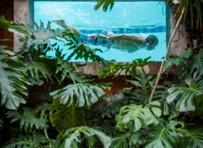 Kohimaramara Garden & Green Wall