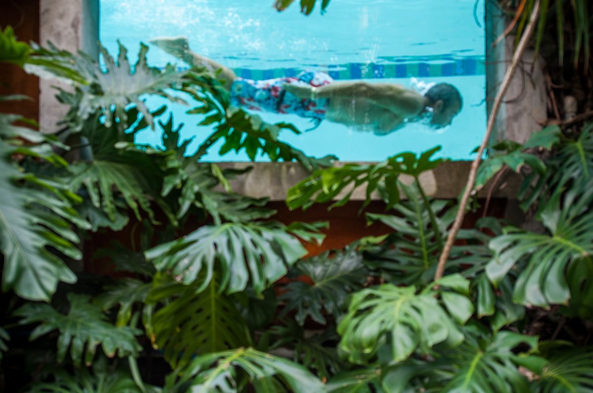 Kohimaramara Garden & Green Wall