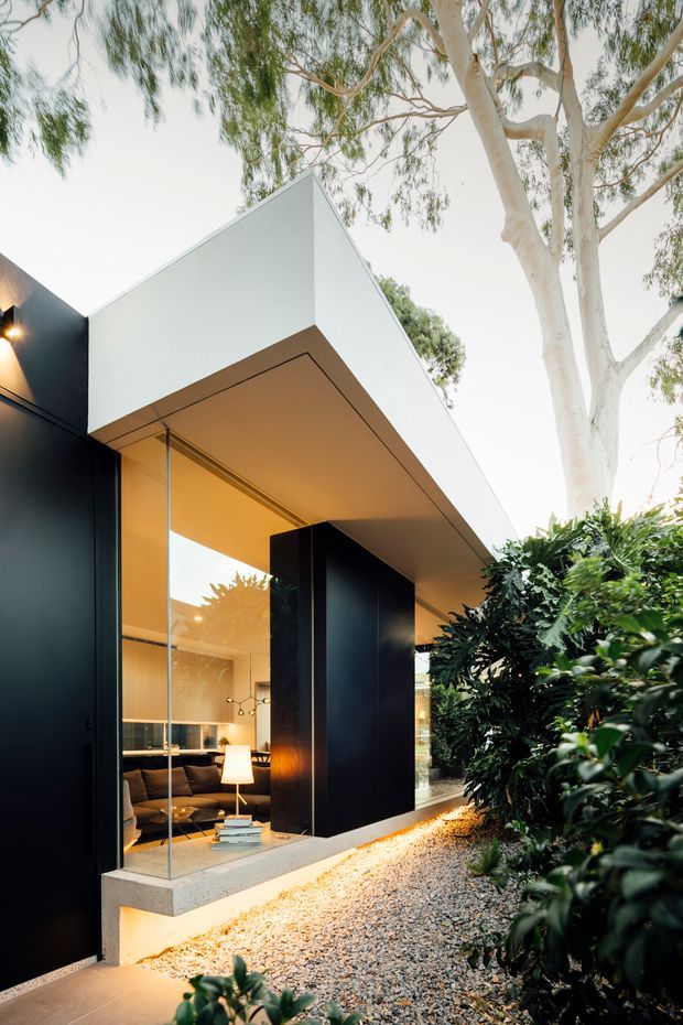 Exterior architectural photograph of a contemporary pavilion-like residence set within established eucalyptus landscaping. The composition highlights a crisp white projecting roof canopy, dark matte cladding and structural walls, extensive floor-to-ceiling glazing, and a gravel garden path. A warmly lit living room with a sofa, coffee table, and pendant lighting is visible through the glass.