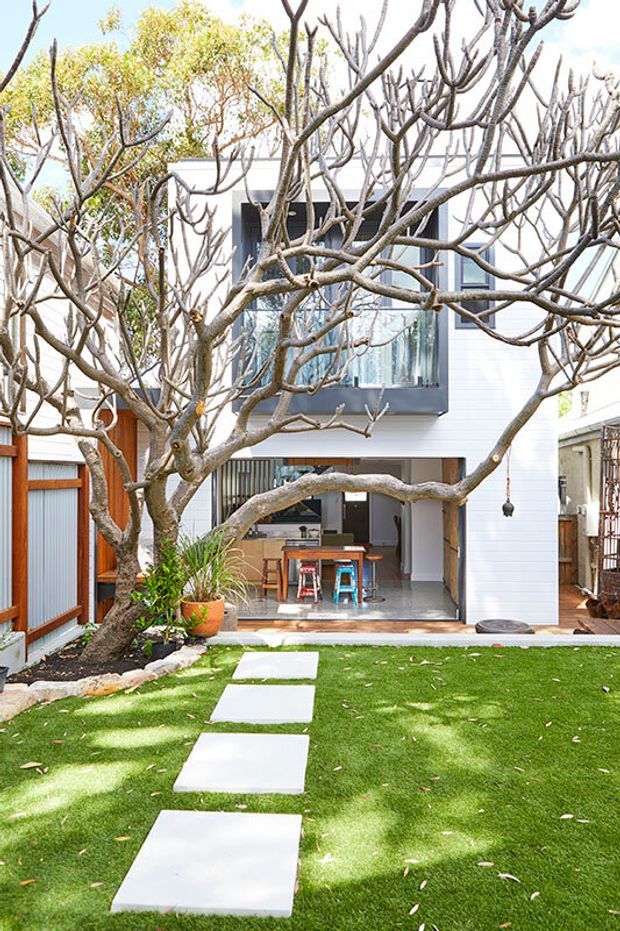 Bright exterior view of a contemporary multi-level home opening onto a landscaped courtyard. A large sculptural tree dominates the foreground, with stepping-stone pavers across a lawn leading to an open ground-floor kitchen and living area. The house has white horizontal cladding, dark-framed glazing, timber screening, and a small outdoor garden setting.