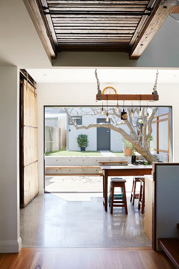 Bright contemporary interior opening onto a small landscaped courtyard. The image shows a polished concrete floor, white walls, exposed timber ceiling beams with a slatted overhead section, a large glazed opening, and a compact dining or kitchen area with a suspended timber-and-metal light fixture. A large tree and built-in courtyard bench are visible beyond the opening.