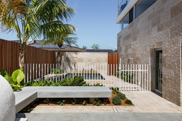 A sunlit contemporary courtyard beside a textured stone-clad building. The space features pale paved surfaces, a raised concrete planter bench, tropical palms and planting, a white metal fence, timber privacy fencing, and a partially visible rooftop solar array. A glazed doorway opens into the building on the right.