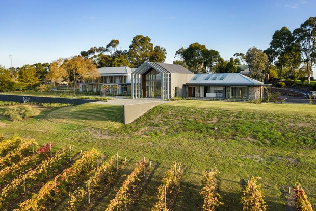 Wide exterior view of a low-rise contemporary building complex set within landscaped grounds and vineyard-like rows. The composition features a central glazed gabled pavilion connecting two wings, with grey pitched metal roofs, extensive vertical glazing, and a long single-storey wing with skylights. Mature trees surround the property under a clear blue sky.