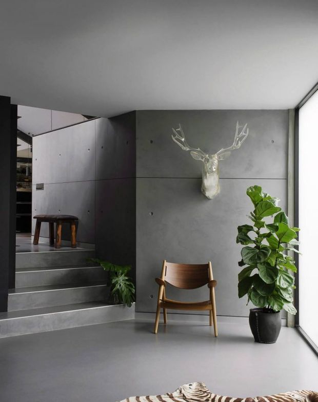 Modern interior entry or landing with a dark grey concrete-look feature wall, large floor-to-ceiling glazing, floating-style concrete steps, minimalist built-in cabinetry, timber armchair, stool, and indoor plants. A sculptural deer head provides a focal point on the wall, while the restrained palette and clean lines create a refined contemporary atmosphere.