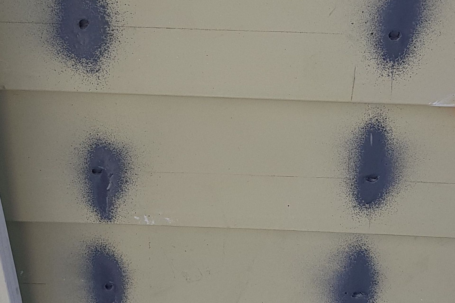 Challinor Crescent, Mt Albert