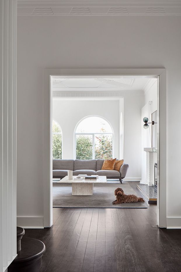 View through a wide decorative doorway into a bright, refined living room. The room features white walls and ornate ceiling mouldings, tall arched windows, a grey sectional sofa with rust-coloured cushions, a pale rectangular coffee table, a large neutral rug, a fireplace, and dark timber flooring. Dark curved furniture is partially visible in the foreground hallway, and a small dog rests on the rug.