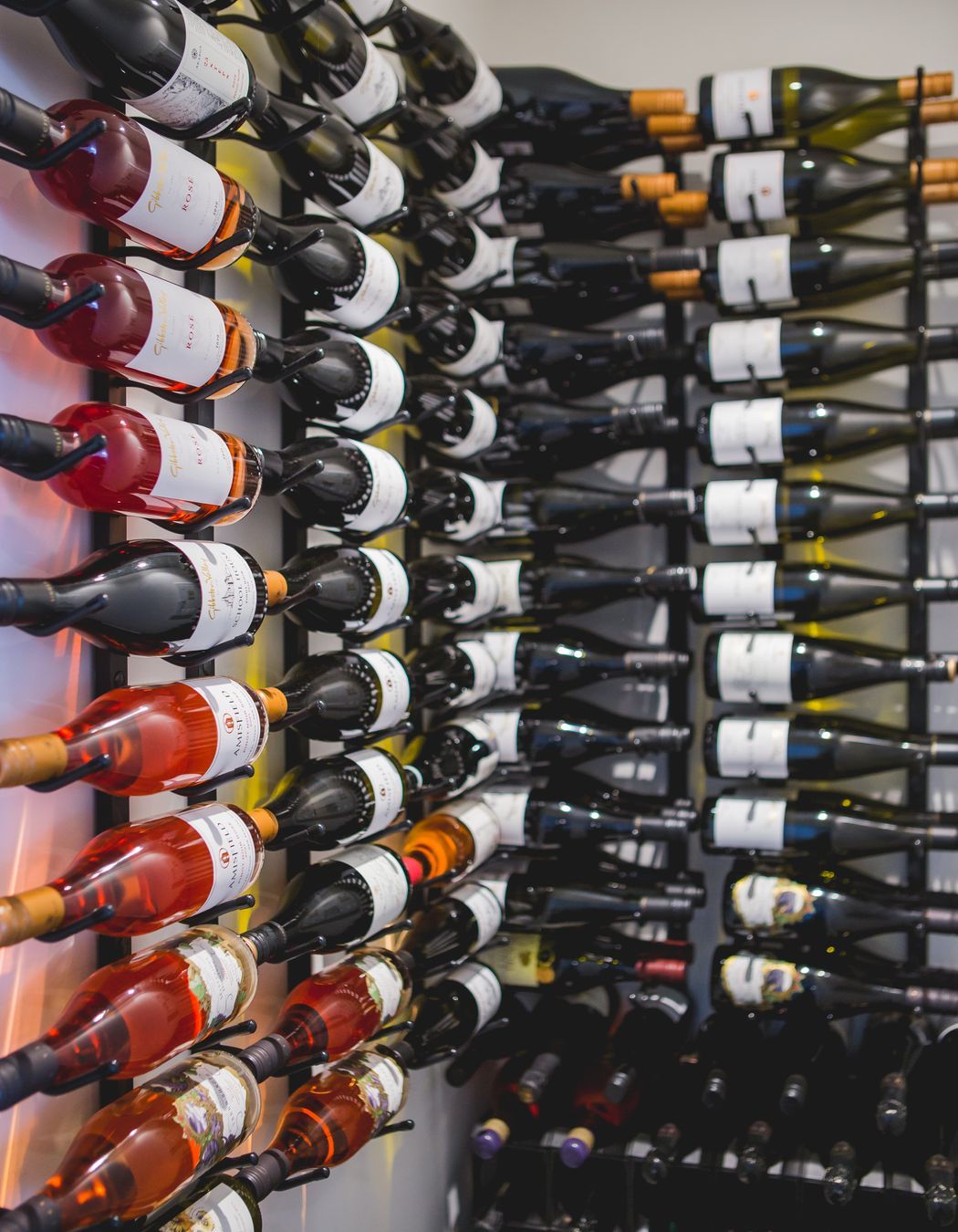 100 Year Old Charmer