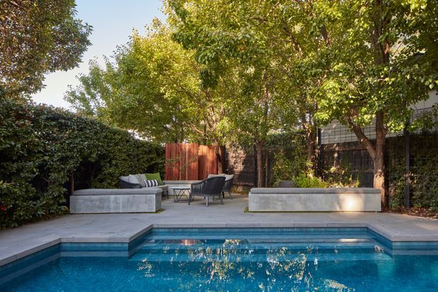 A landscaped residential courtyard with a rectangular swimming pool in the foreground, surrounded by pale stone or concrete paving and built-in raised seating planters. The garden is enclosed by dense hedges, mature trees, timber fencing and a dark screened boundary, with contemporary outdoor lounge furniture arranged beside the pool. The scene is sunny, leafy and private.