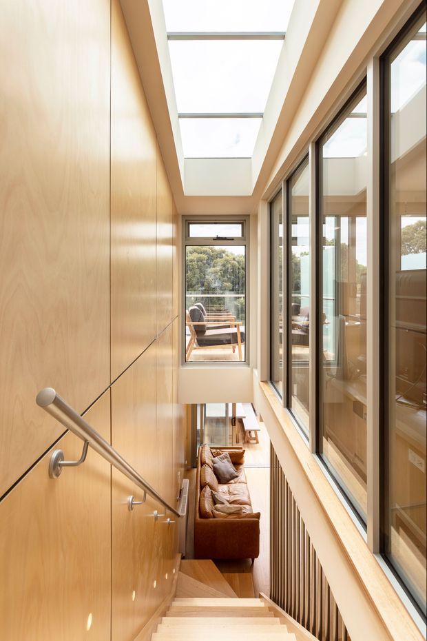 A bright, narrow interior stairway descends alongside a double-height glazed void. The left wall is clad in warm timber panelling with a stainless-steel handrail, while the right side has extensive dark-framed glazing overlooking a lower living area. A long overhead skylight brings daylight into the stairwell, and a brown sofa is visible below.